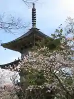 国分寺のその他建物