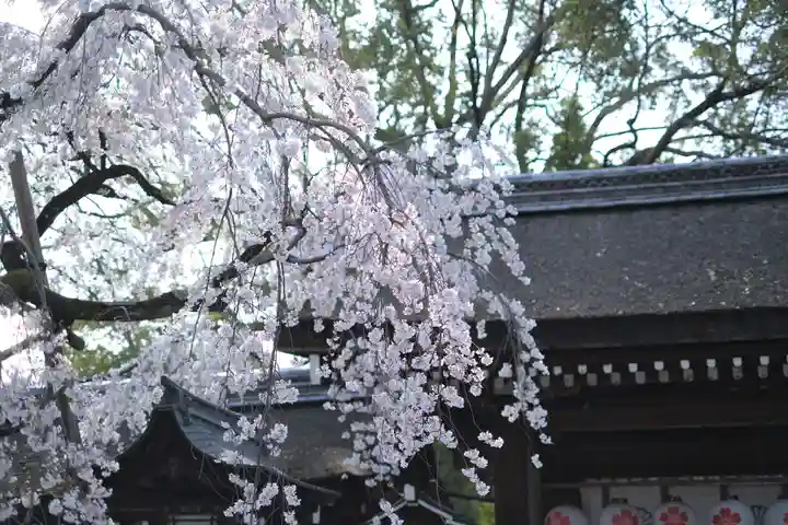 平野神社のその他建物