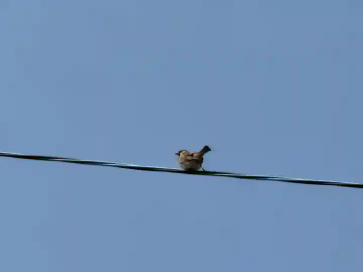 西方山極楽寺(岐阜県)
