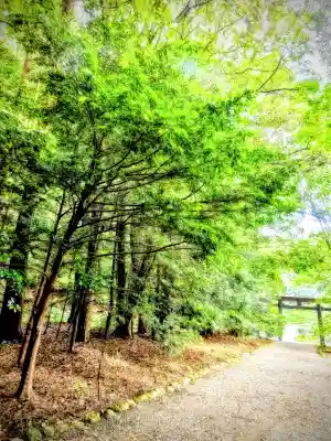 槵觸神社(宮崎県)