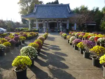 総世寺の本殿・本堂