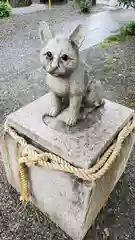 阿豆佐味天神社 立川水天宮の狛犬