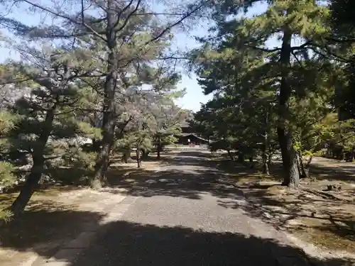 実相寺(愛知県)