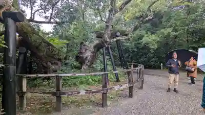 伊勢神宮外宮（豊受大神宮）(三重県)