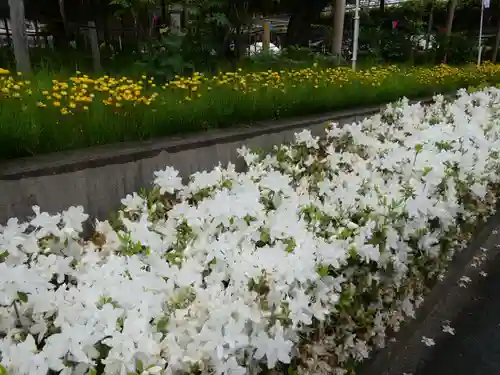 曼陀羅寺の庭園