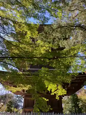 道場寺のその他建物