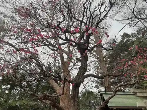 小金井神社(東京都)