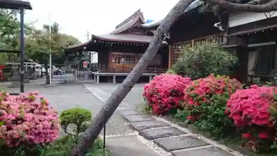 本郷氷川神社(東京都)