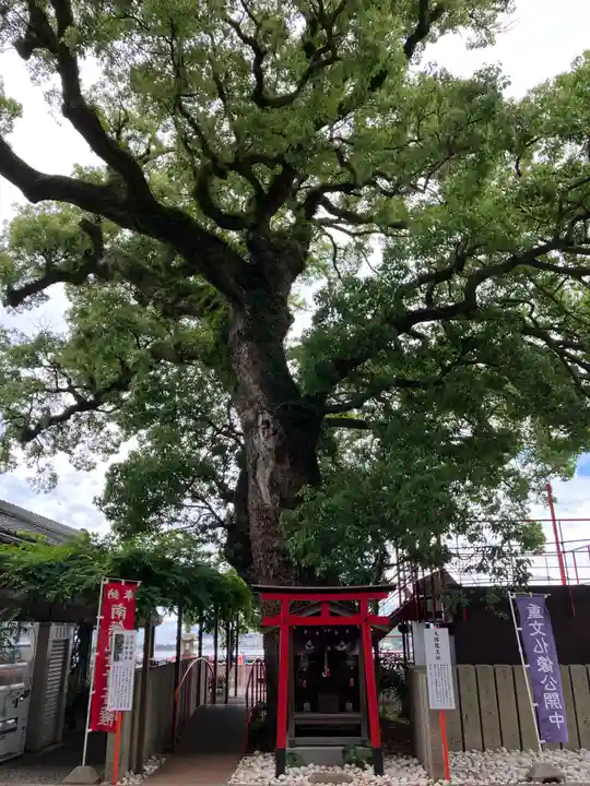 金剛宝寺(紀三井寺)(和歌山県)
