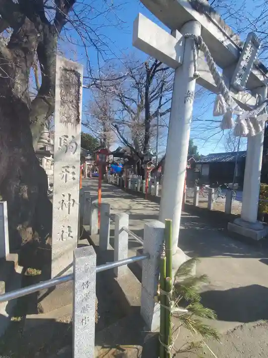 駒形神社(群馬県)