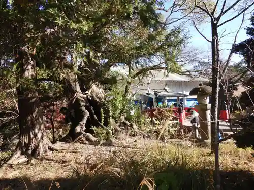 静岡浅間神社(静岡県)