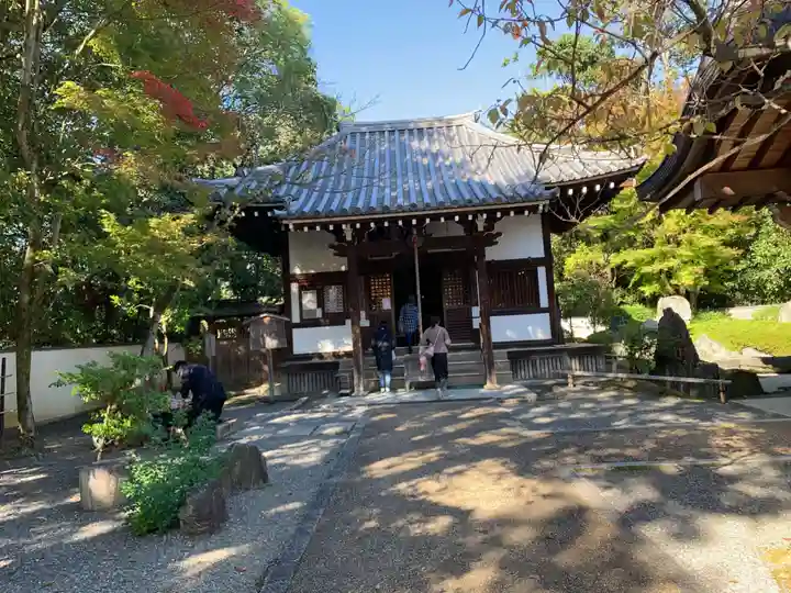 御寺 泉涌寺の本殿・本堂