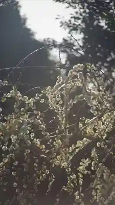 城南宮(京都府)