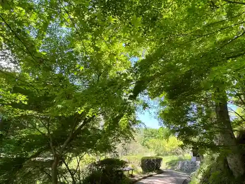 国宝 大法寺(長野県)