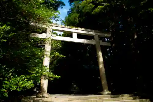 彌彦神社の鳥居