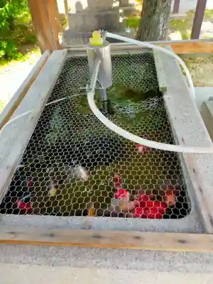 岸和田天神宮(大阪府)