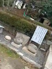 天御中主神社の手水