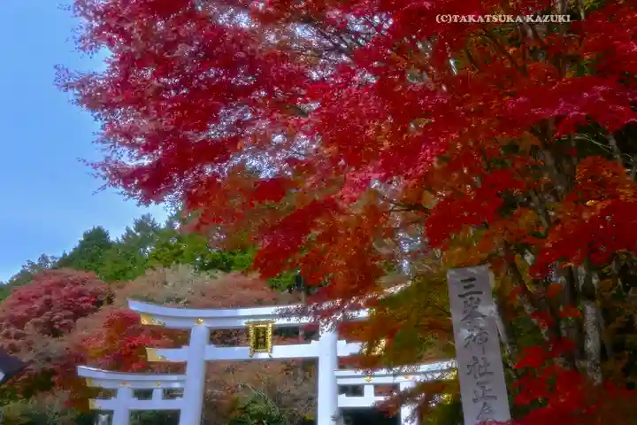 三峯神社(埼玉県)