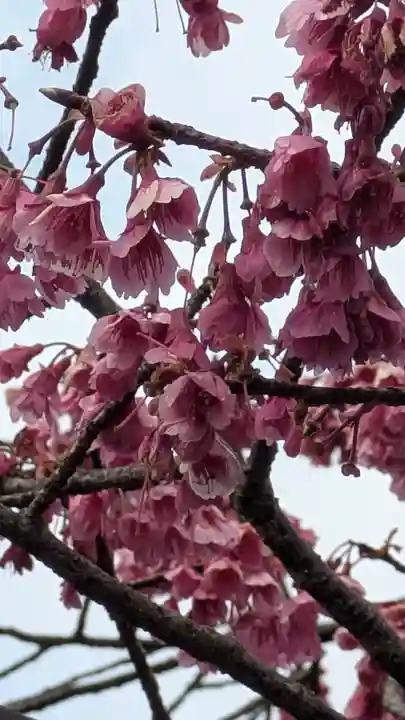 金佛殿 延壽寺(延寿寺)(京都府)