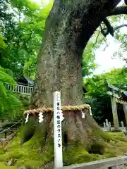 事任八幡宮の自然