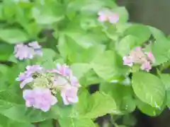 千住神社の自然