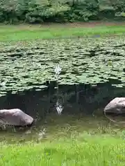 みそぎ御殿(宮崎県)