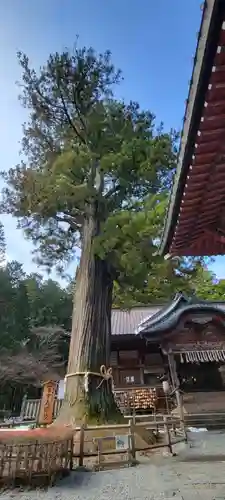 北口本宮冨士浅間神社の景色