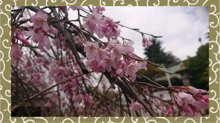 尾久八幡神社(東京都)