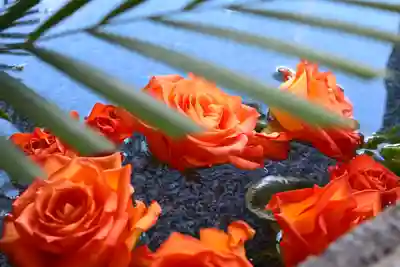 三津厳島神社の手水舎