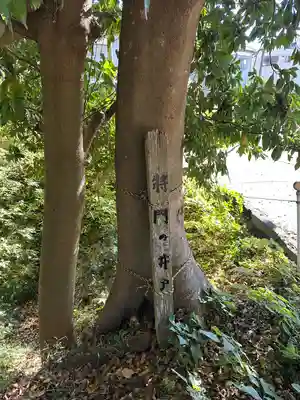 日秀将門神社(千葉県)