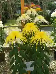 笠間稲荷神社(茨城県)