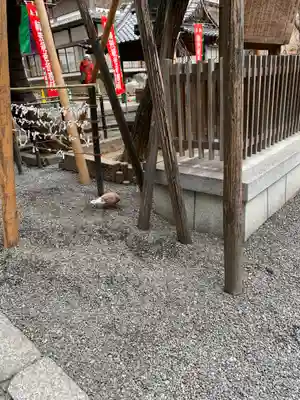 頂法寺（六角堂）(京都府)