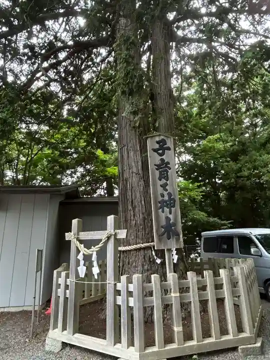 新倉富士浅間神社(山梨県)