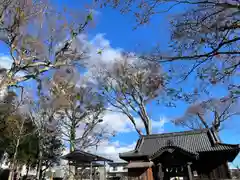 小諸八幡宮(長野県)