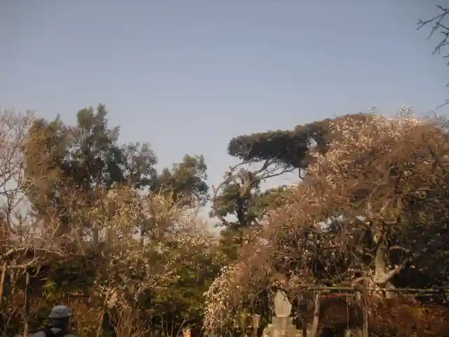 宝戒寺のその他建物