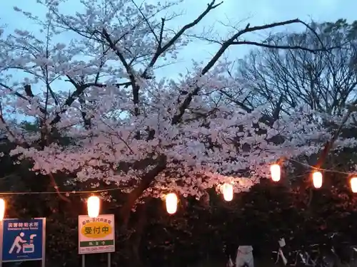 稱名寺(神奈川県)
