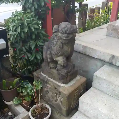 亀塚稲荷神社の狛犬