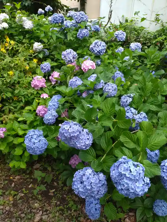 本郷氷川神社(東京都)