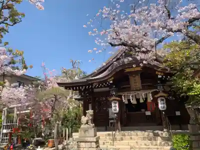 一宮神社の本殿・本堂