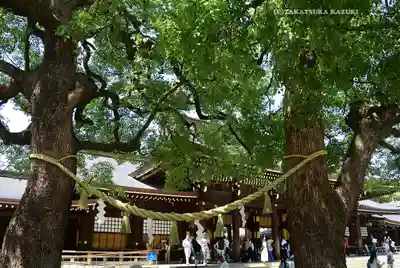 明治神宮(東京都)