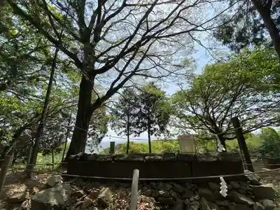 龍神社(岡山県)