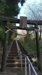 今熊野神社の鳥居