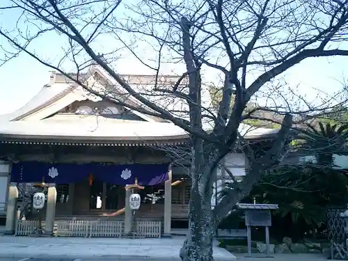 光明寺の本殿・本堂