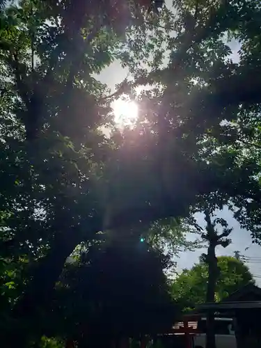 本郷氷川神社(東京都)