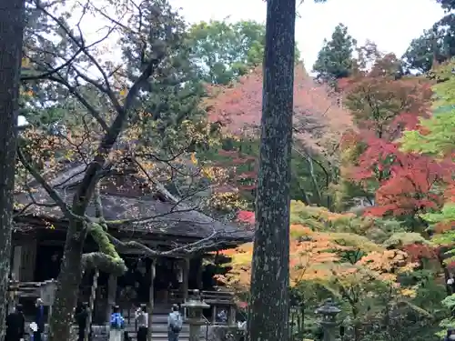 三千院門跡(京都府)