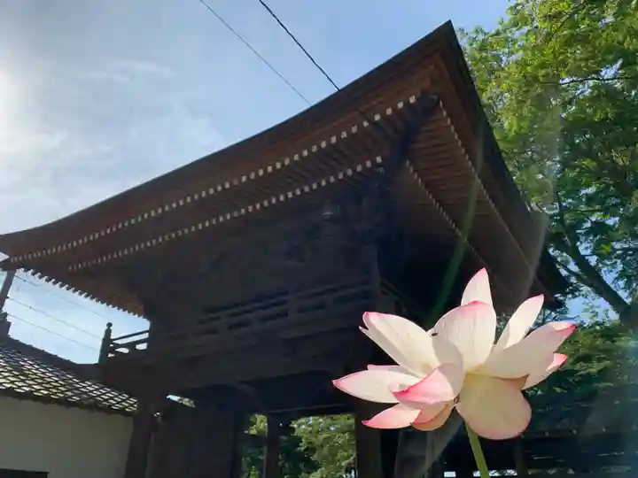 普門寺(切り絵御朱印発祥の寺)の山門・神門