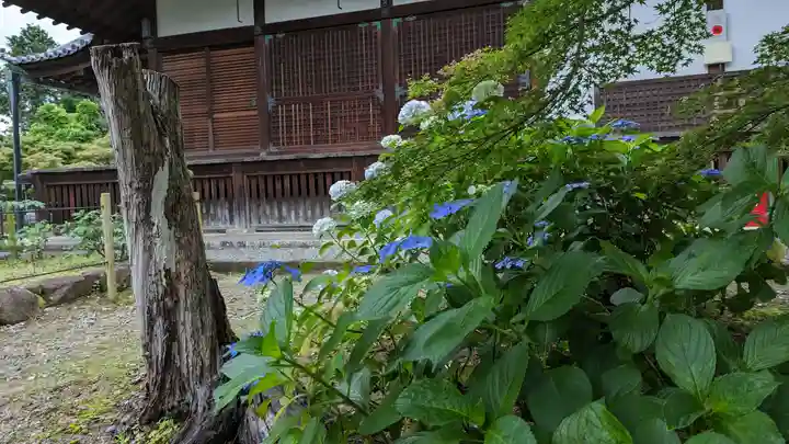 乙訓寺(京都府)