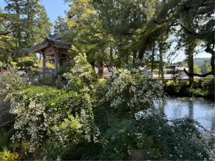 中尊寺(岩手県)