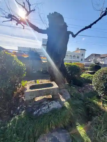御嶽神社（助戸）(栃木県)