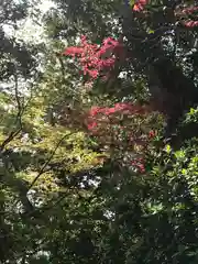 検見川神社の自然